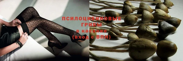 a pvp Бородино