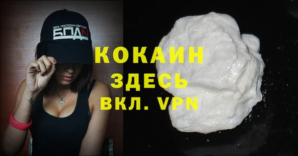 a pvp Бородино