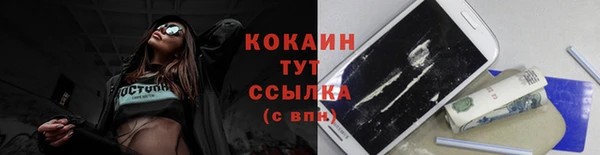 a pvp Бородино