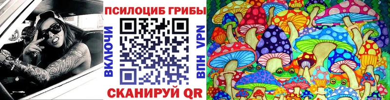 Псилоцибиновые грибы мицелий  Чита 