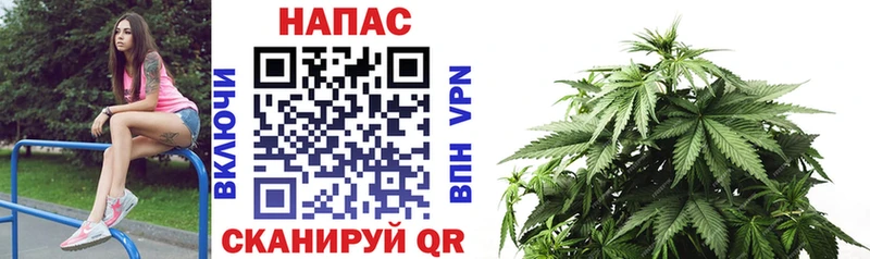 Марихуана Amnesia  Чита 
